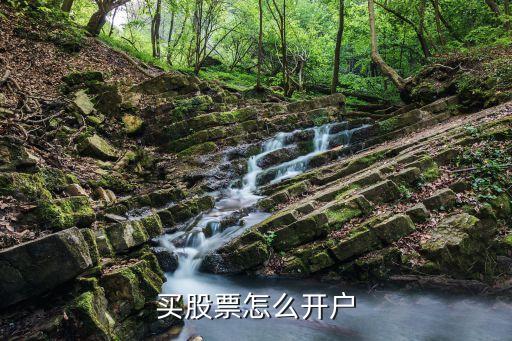 買股票怎么開戶
