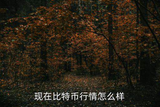 現(xiàn)在比特幣行情怎么樣
