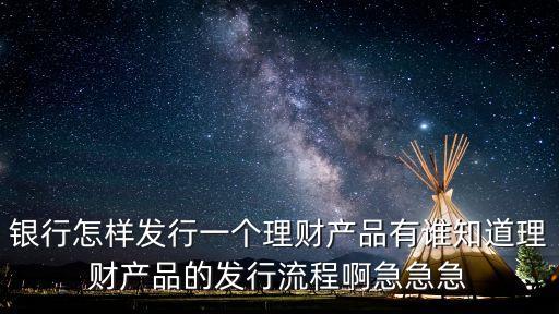 銀行怎樣發(fā)行一個理財產(chǎn)品有誰知道理財產(chǎn)品的發(fā)行流程啊急急急