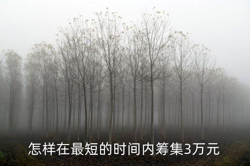 怎么能快速有三萬(wàn)塊錢(qián)，怎樣在兩天內(nèi)湊夠三萬(wàn)元錢(qián)急急急
