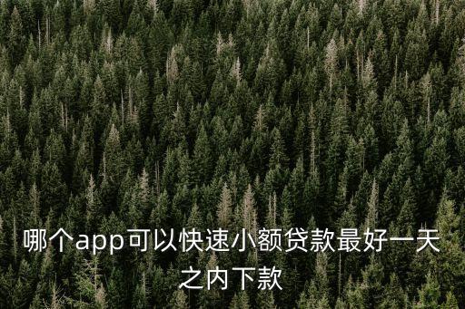 哪個app可以快速小額貸款最好一天之內(nèi)下款
