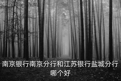 南京銀行南京分行和江蘇銀行鹽城分行哪個好