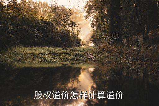 股權(quán)溢價怎樣計算溢價