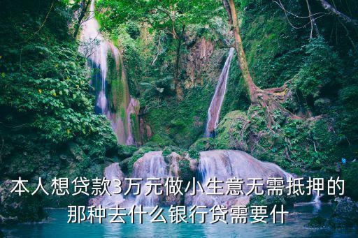 本人想貸款3萬(wàn)元做小生意無(wú)需抵押的那種去什么銀行貸需要什