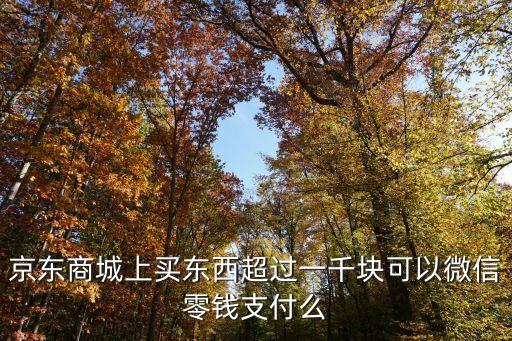 京東商城怎么支付大額金額，京東商城白條可以超額消費(fèi)的