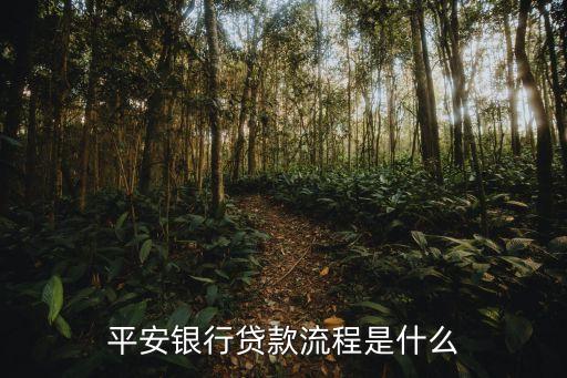 平安貸怎么走的流程，平安好貸貸款流程有哪些