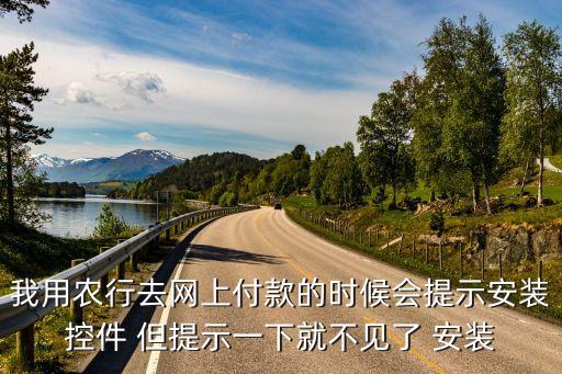 網(wǎng)上繳費(fèi)怎么安裝插件，我用農(nóng)行去網(wǎng)上付款的時(shí)候會(huì)提示安裝控件 但提示一下就不見了 安裝
