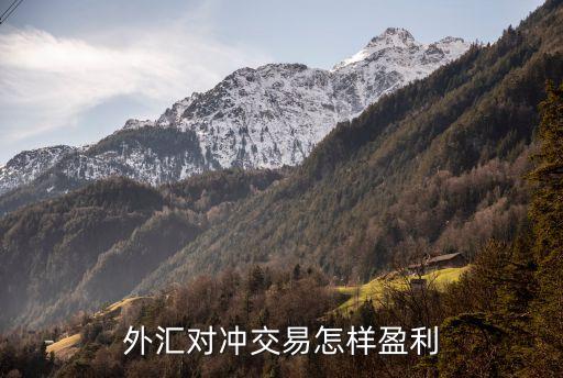 對沖怎么盈利，對沖基金如何獲利獲利原理是什么