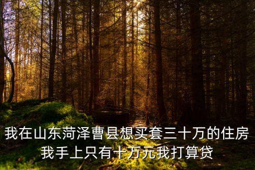 菏澤房貸怎么還，我在山東菏澤曹縣想買(mǎi)套三十萬(wàn)的住房我手上只有十萬(wàn)元我打算貸