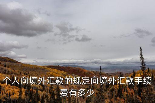 個人向境外匯款的規(guī)定向境外匯款手續(xù)費有多少