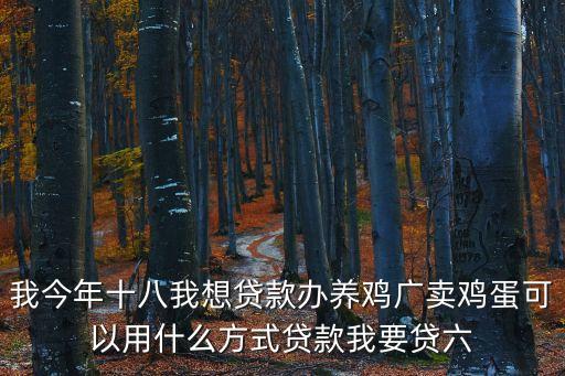 養(yǎng)雞場怎么貸款，我今年十八我想貸款辦養(yǎng)雞廣賣雞蛋可以用什么方式貸款我要貸六