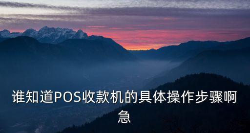 必勝客的pos機怎么用，必勝客點單機如何使用