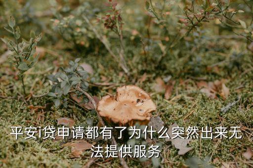 平安i貸申請都有了為什么突然出來無法提供服務(wù)