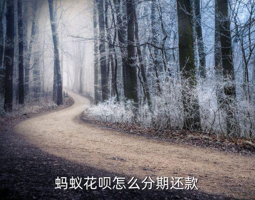 花唄怎么分期，請(qǐng)問(wèn)支付寶 花唄如何分期還款