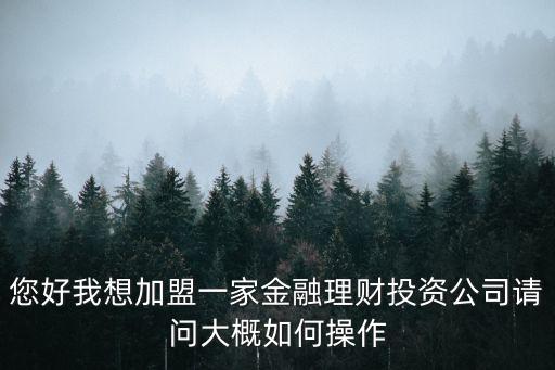 您好我想加盟一家金融理財(cái)投資公司請問大概如何操作