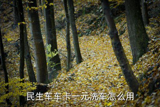 民生車車卡一元洗車怎么用