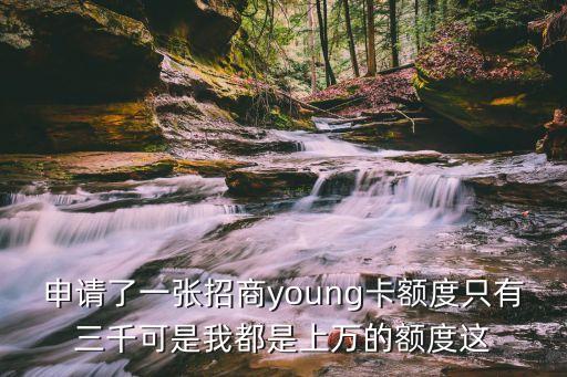 申請了一張招商young卡額度只有三千可是我都是上萬的額度這
