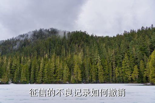 太原信用不良的怎么消除，個(gè)人征信不良記錄如何消除啊