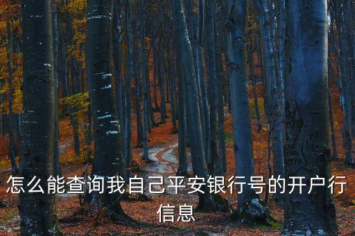 怎么能查詢我自己平安銀行號的開戶行信息