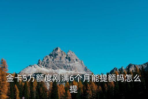 金卡5萬(wàn)額度剛滿6個(gè)月能提額嗎怎么提