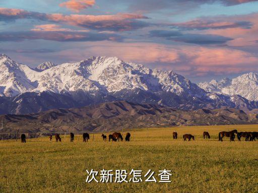 怎么查次新股，請問怎樣才能最快速地知道哪些是次新股和新股