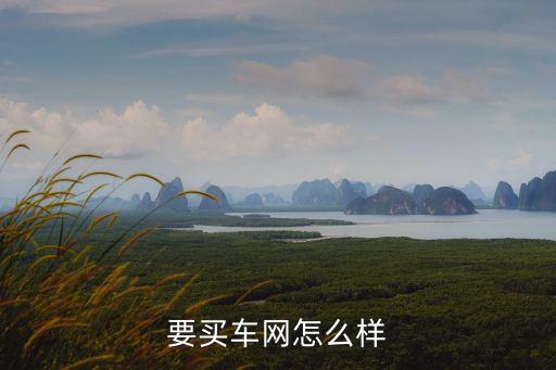 要買(mǎi)車(chē)網(wǎng)怎么樣