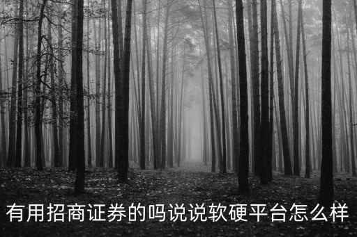 有用招商證券的嗎說說軟硬平臺(tái)怎么樣