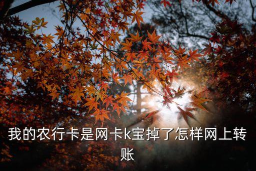 我的農(nóng)行卡是網(wǎng)卡k寶掉了怎樣網(wǎng)上轉(zhuǎn)賬