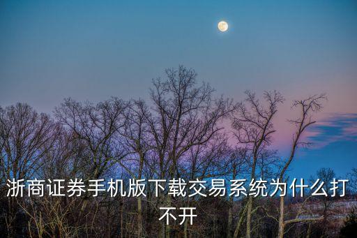 浙商證券怎么進(jìn)不去，浙商證券的官網(wǎng)什么時候可以進(jìn)