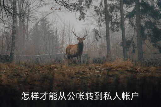怎樣才能從公帳轉(zhuǎn)到私人帳戶