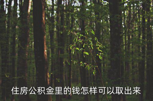 住房公積金怎么可以套現，住房公積金如何取現