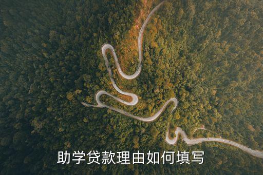 助學貸款續(xù)貸理由申請怎么寫，續(xù)貸款的申請怎么寫
