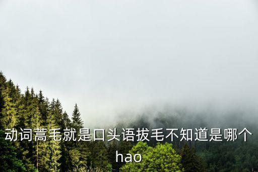 動詞蒿毛就是口頭語拔毛不知道是哪個hao