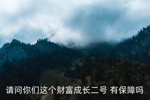 財(cái)富二號(hào)怎么樣，請(qǐng)問(wèn)你們這個(gè)財(cái)富成長(zhǎng)二號(hào) 有保障嗎