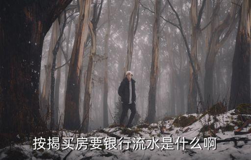買房要銀行流水賬怎么回事，銀行房貸流水是怎么回事