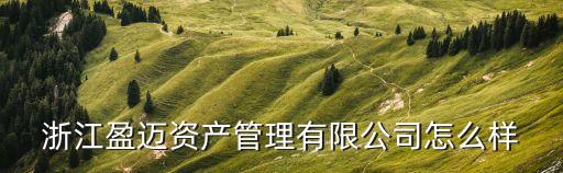 浙江盈邁資產管理有限公司怎么樣