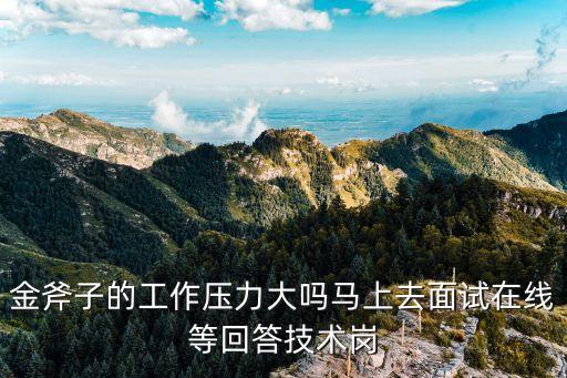 金斧子工作怎么樣，深圳金斧子Java工程師的薪酬大家有了解的嗎3年經(jīng)驗(yàn)?zāi)沁呉话憬o