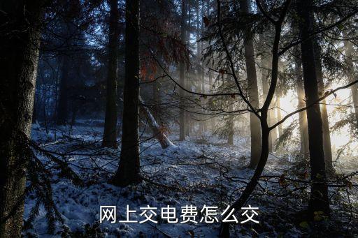 怎么在網(wǎng)上交電費，手機交電費怎么交