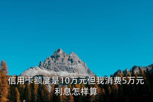 信用卡額度是10萬元但我消費5萬元利息怎樣算
