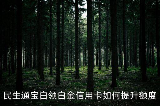 民生通寶白領(lǐng)白金信用卡如何提升額度