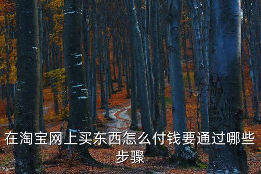 在淘寶網上買東西怎么付錢要通過哪些步驟