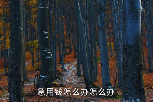 六安急用錢怎么辦，六安急用錢周轉(zhuǎn) 怎么辦來點靠譜的