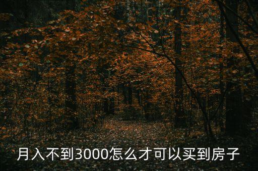 月入不到3000怎么才可以買到房子
