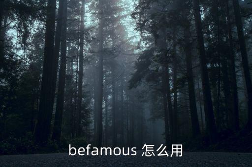 全額寶怎么用，befamous 怎么用