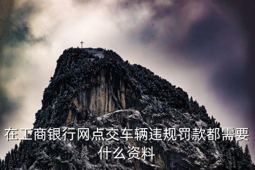 在工商銀行網(wǎng)點(diǎn)交車輛違規(guī)罰款都需要什么資料