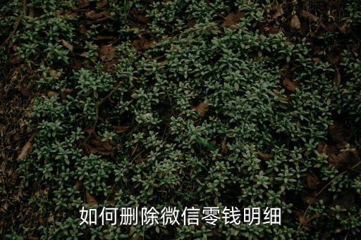 怎么清理微信交易紀(jì)錄，微信6322怎么刪除交易記錄