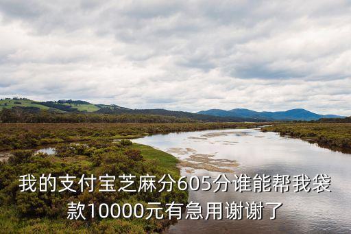我的支付寶芝麻分605分誰能幫我袋款10000元有急用謝謝了