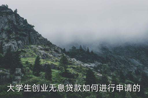 大學(xué)生創(chuàng)業(yè)無息貸款如何進(jìn)行申請(qǐng)的