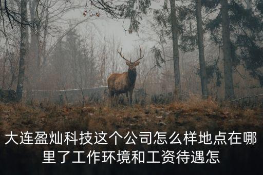 大連盈燦科技這個(gè)公司怎么樣地點(diǎn)在哪里了工作環(huán)境和工資待遇怎