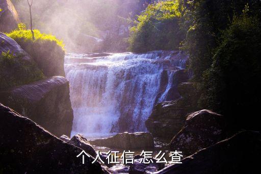 個人征信 怎么查